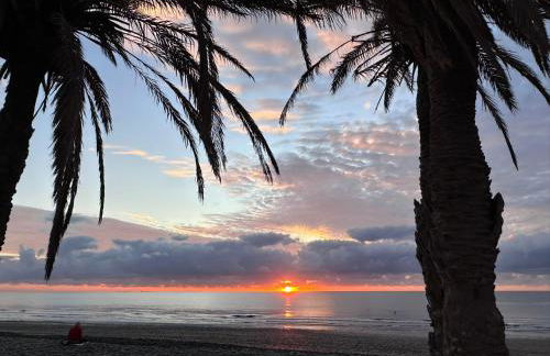 First Beachline Deluxe with Garden and Terrasse in Sun Club - Foto 53