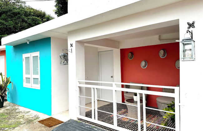 El Yunque Rainforest - Photo 2