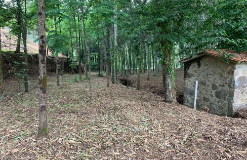 Quinta do Tojal - Tourism immersed in nature! - Foto 26