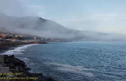 Dal Pescatore - Foto 39