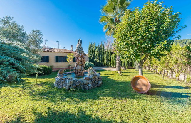 Hibiscus in Sa Pobla - Foto 25