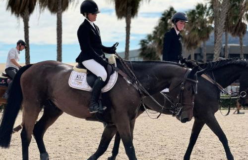 Chalet Centro Encuestre MET OLIVA NOVA - Foto 44