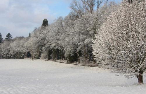 Ferienwohnungen Brack in Gaggenau - Foto 26