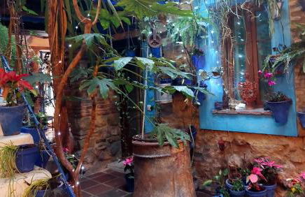 El patio azul Bohemio Mágico - Foto 59