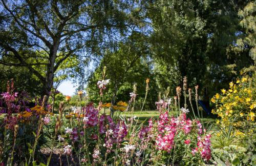 The Manor Dairy - Foto 26