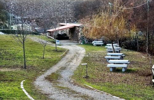 Anjú-Pardal - Foto 64