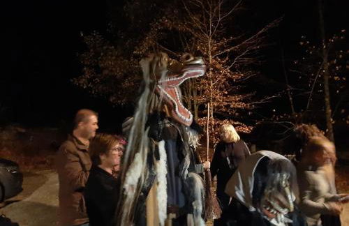 Blockhaus am Baumwipfelpfad - Foto 68