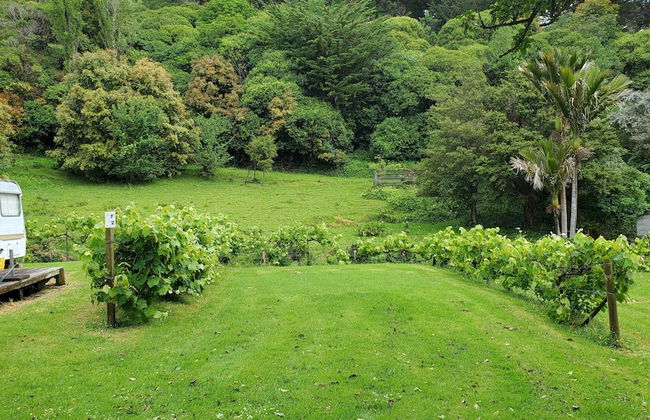 Dickson Holiday Park - Foto 76