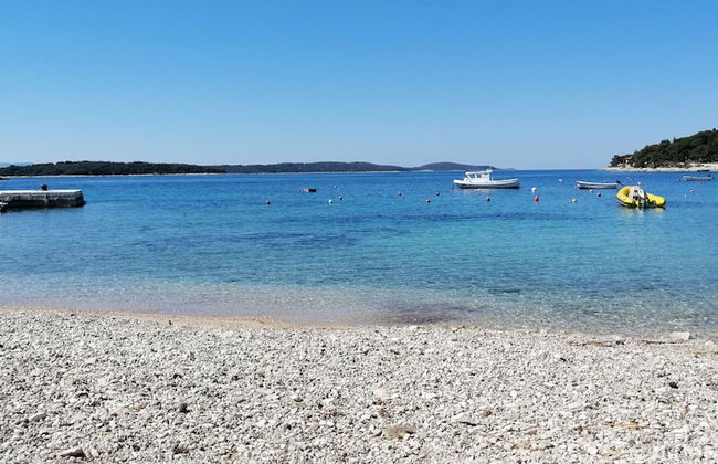 Apartments Dirk - Foto 45