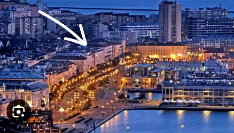 Le Petit Phare - Foto 3