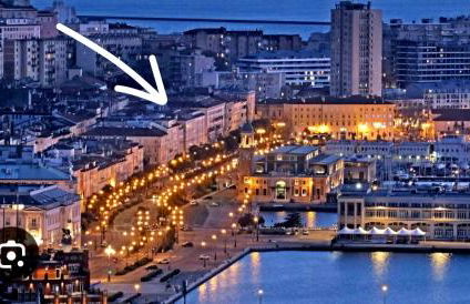 Le Petit Phare - Foto 3