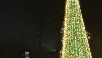 Cà MariLú - Photo 2