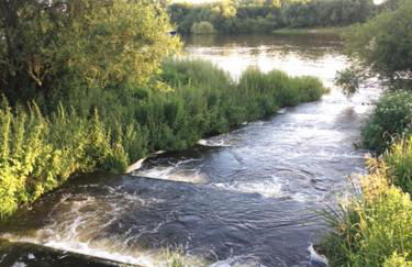 Landhaus am Deich - Foto 27