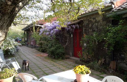 Cirasellaetna - Foto 79