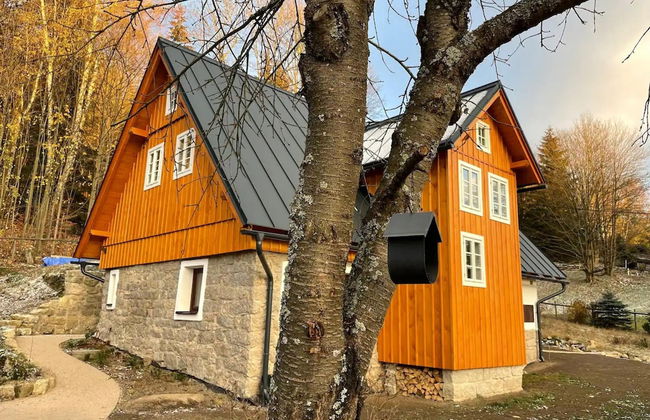 Lucany nad Nisou - Lla560 - Photo 57