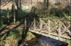 CASA CON FINCA PRIVADA - Foto 4