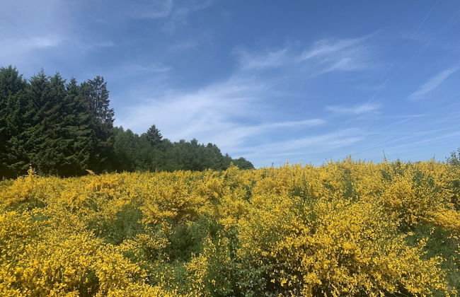 Charming Farmhouse With Large Terrace - Foto 75