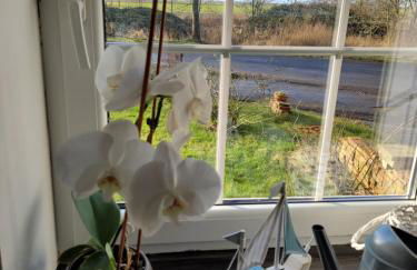 Gulfhof Anelis - Foto 12