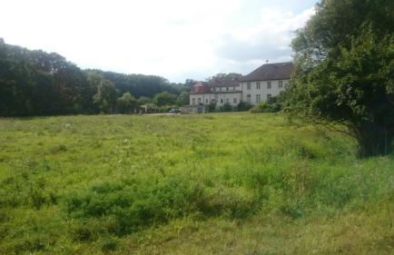 Gutshaus am Nationalpark Unteres Odertal - Foto 49