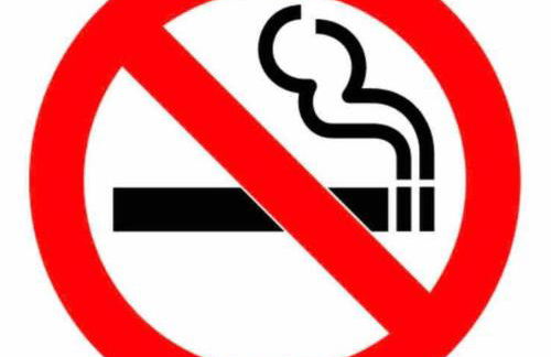 Private Studio Suite with Separate Entrance & Backyard, Quiet Brooklyn Stay - Photo 21