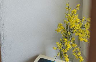 Alojamentos Plansel - No Coração das Vinhas do Alentejo - Foto 55