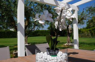 Maison Valentina - Foto 35