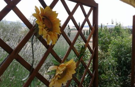 Casa Country House Girasole vakantie huis-WAKACJE HUIS - Foto 22