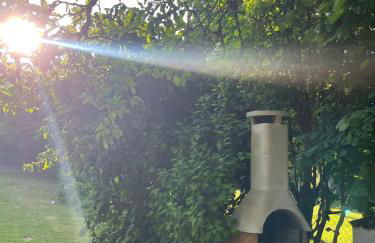 Die grüne Bleibe im Pfälzer Wald - Foto 16