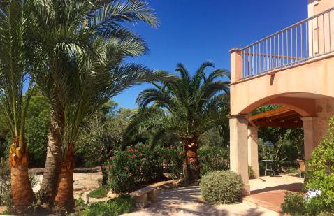 Finca Son Azul Real - Foto 13