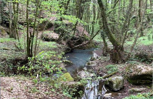 La casa di Francesco Incantevole casale di campagna with pool piscina - Foto 42