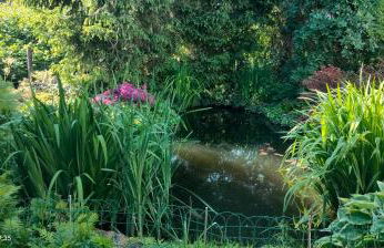 Pension Kaden - Foto 5