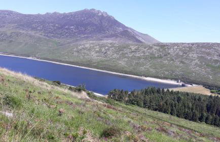 Bracken Cottage - Photo 26