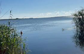 Biały domek - Photo 19