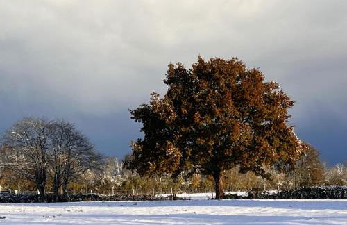 La Longere du Haras - Photo 25