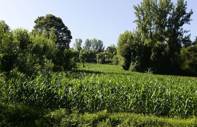 Vale de São Torcato Houses and Wine Bar - Photo 77