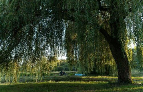 Historic Mill With Ponds And Pool Near Lyon - Foto 23