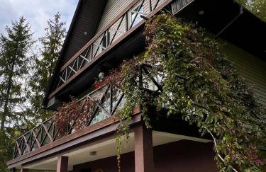 Klimatyczny dom z widokiem na Babią - kominek i ogrodzenie - Foto 33