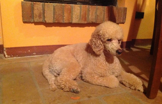 Agriturismo Arte Contadina - Photo 20