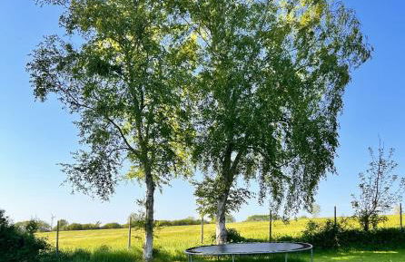 Sommerby Garden - Foto 25