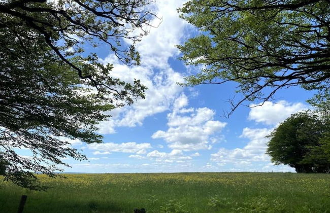Shepherds Hut Near Exmoor National Park - Foto 41