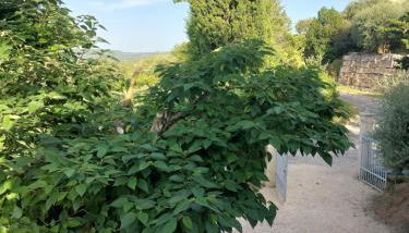 Gites Pleine Nature Belledonne - Photo 5