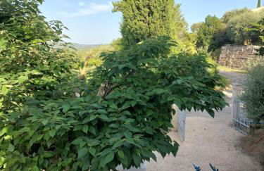 gites pleine nature - la Tournette - - Photo 14