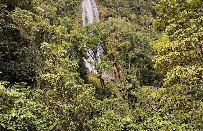 The Mango Tree Villas and Spa - Foto 40