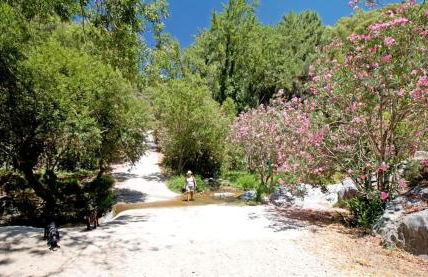 Finca el Almendro Archez - Foto 36