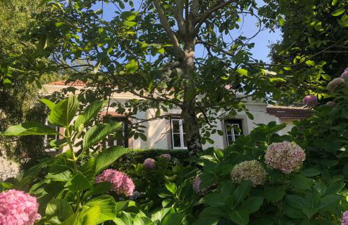 Luxurious royal estate in historic Sintra paradise - Foto 34