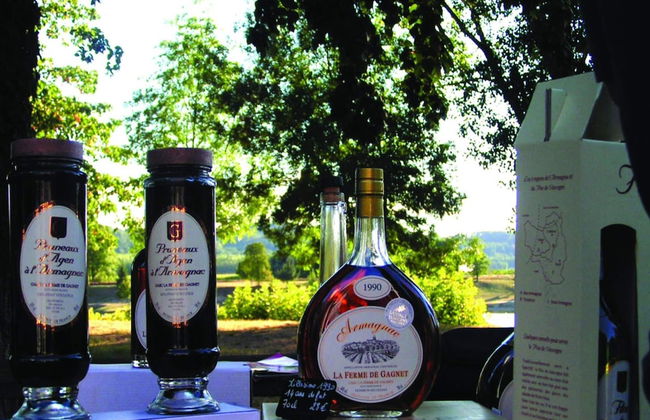 Detached Chalet With Dishwasher, on the Banks of the Lot - Foto 18