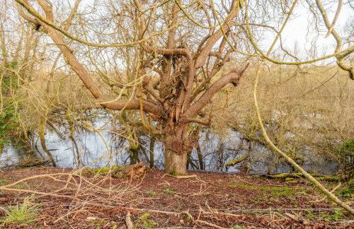 Luxury Cotswolds Estate with Pool - Foto 36