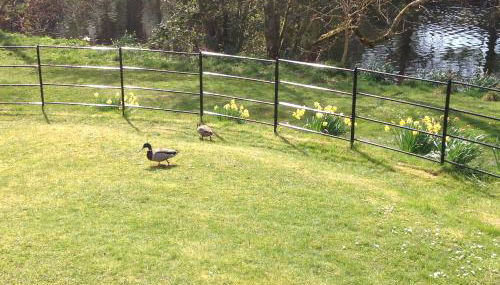 Lovely Riverside Holiday Home - Foto 4, Garden