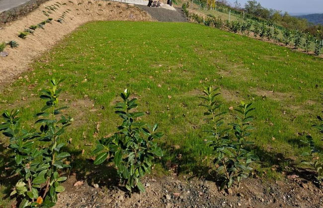 Holiday Home Martin - Foto 22