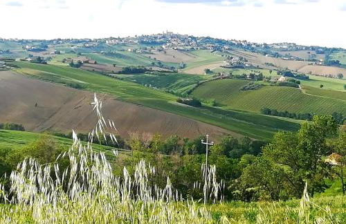 La Collina dei Cavalieri - Foto 46